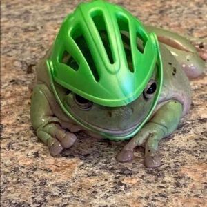 Meet your Posher, Abbey